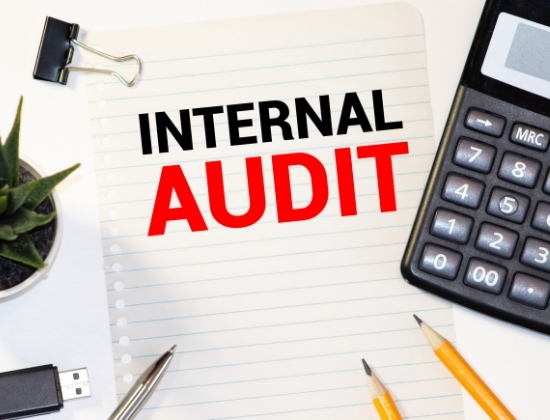 What makes a good and useful internal audit