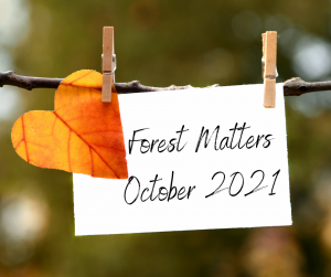 FSC® Forest Matters October 2021