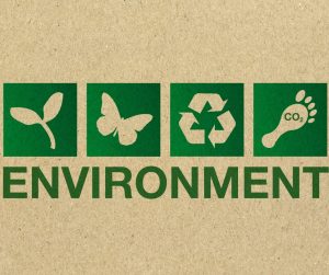 Obtaining ISO 14001 Environmental Certification