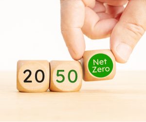 Routes to Net Zero