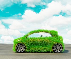 Going Green: Why ISO 14001 is Vital for Transport Companies