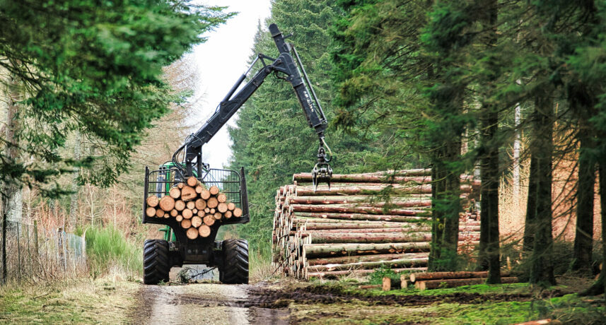 PEFC CERTIFICATION