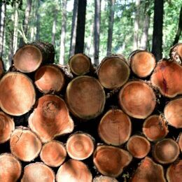 FSC CERTIFICATION